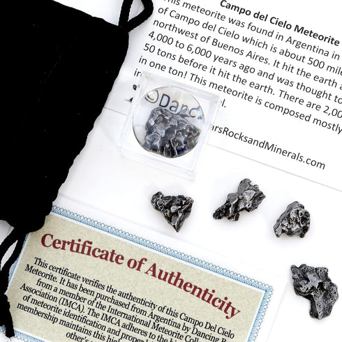 DANCING BEAR Meteorite from Space, 5 pcs Campo del Cielo from Argentina, Educational Card & Magnifying Box