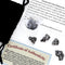 DANCING BEAR Meteorite from Space, 5 pcs Campo del Cielo from Argentina, Educational Card & Magnifying Box