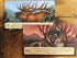 Leaf Board Game Season of The Bear Expansion - Strategy Game by Weird City Games
