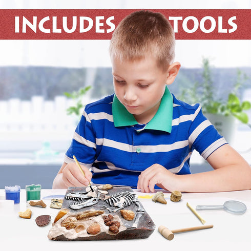 DANCING BEAR Fossil Dig Kit, Excavate 15 Prehistoric Fossils including Real Dinosaur Bones for Kids