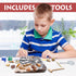 DANCING BEAR Fossil Dig Kit, Excavate 15 Prehistoric Fossils including Real Dinosaur Bones for Kids