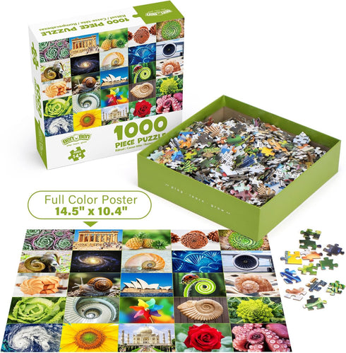 1000 25 BenBen Piece Puzzle for Adults, Fibonacci Spirals in Nature, Jigsaw Puzzles with Letters on Back, Challenging