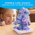 Kids Crystal Growing Kit, Grow 6 Crystal Trees in 6 Hours, Educational STEM Craft Kit with Art Supplies