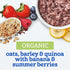 3 8PK Gerber Stage Baby Food, Organic Morning Bowl, Oats Barley & Quinoa, Baby Oatmeal