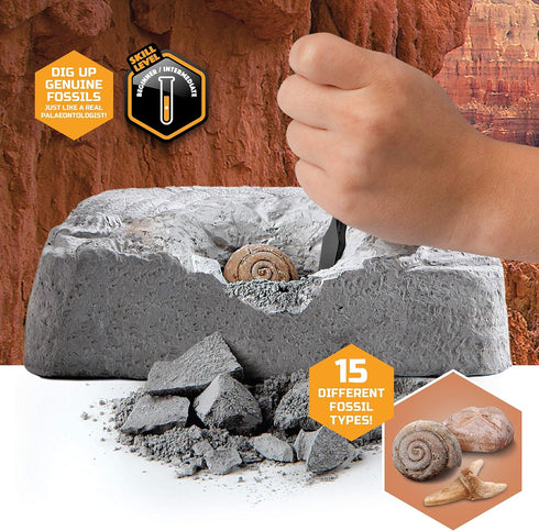 Discovery #MINDBLOWN Colossal Fossil Dig Set, 15-Piece Archeology Excavation Kit, Uncover Real Shark Teeth