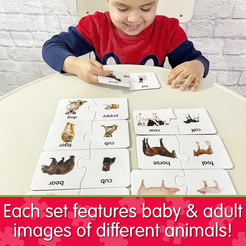 The Learning Journey: Match It! - Animal Families - Educational Animal Matching Game & Puzzle for Kids