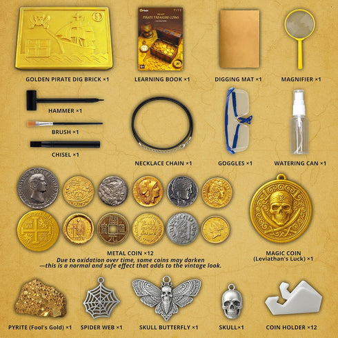 16+ 6+ PIBEX Pirate Treasure Coins Dig Kit Dig & Collect Ancient Metal Coin Replicas, Fools Gold & Pirate Charms STEM