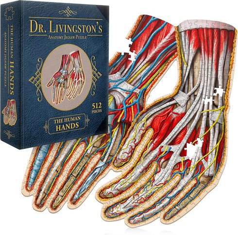 Dr. Livingston's Human Hands Anatomy Puzzle - A Medically Accurate Jigsaw Puzzle