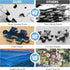 Jigsaw Puzzles 500 Pieces for Adults - Landscape Challenging Puzzle for Kids, Teens, Elderly, Great Family Activity