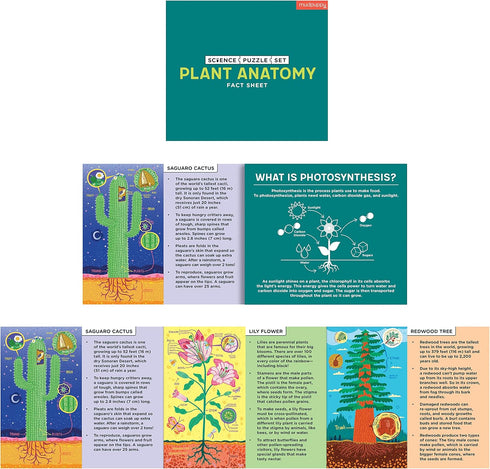 Mudpuppy Plant Anatomy Science Puzzle Set - Three 100-Piece Puzzles with Colorful Illustrations, Ages 6+