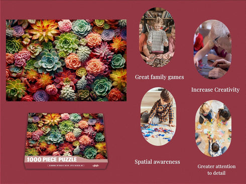 1000 Piece Puzzle for Adults - Succulent Plants Family Puzzle Gift (Succulent, 1000 pieces)
