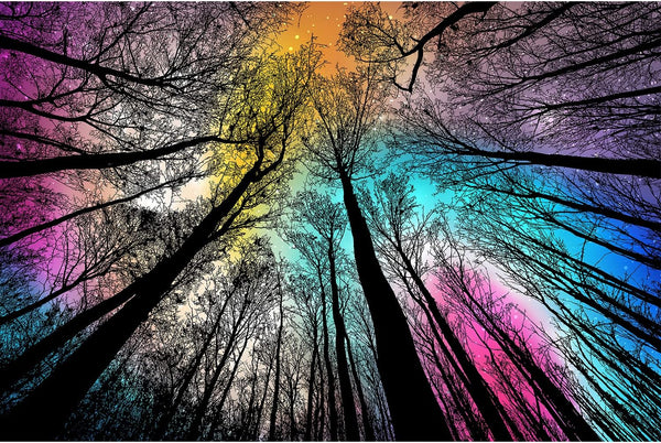 Bgraamiens Puzzle - Forest Under Starry Night - 1000 Pieces Gradient Magic Colorful Puzzle for Adults