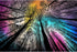 Bgraamiens Puzzle - Forest Under Starry Night - 1000 Pieces Gradient Magic Colorful Puzzle for Adults