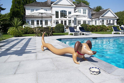 Swimline 90084 72" 5" Doggy Doodle X