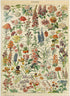 MyPuzzle Fleurs Vintage Art Poster, Adolphe Millot - Premium 1000 Piece Jigsaw Puzzle for Adults