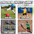 8.5 Inch (Pack 6) Playground Balls Dodgeballs for Kids & Adults - of Inflatable Rubber Indoor Outdoor Bouncy