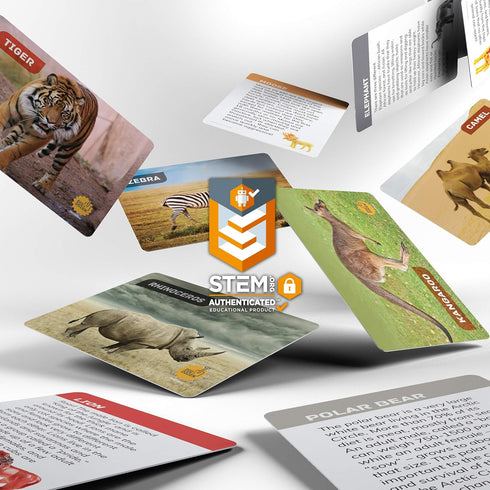 Dig a Dozen Egg Kit, Break Open 12 Eggs to Discover 12 Unique Wild Safari Animals, STEM Gift for Kids