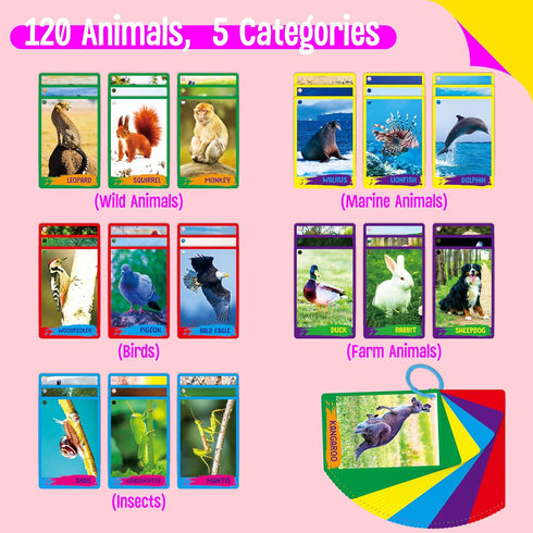 My First 120 Animals, 60PCS Realistic Zoo Animal Flashcards for Montessori & Science Educational Toys
