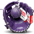 Franklin Sports Kids Baseball Glove + Foam Ball Set, Meshtek Youth Teeball Gloves for Kids + Toddlers, 9.5" Inch