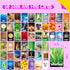SpriteGru Seek and Find Scavenger Hunt Card Game - 50 Cards for Family & Kids Outdoor Activities