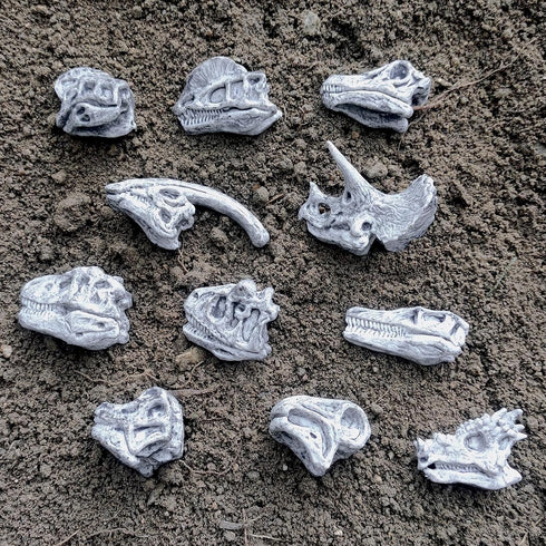 LC JoyCre Mini Grey Dinosaur Bones for Kids Sandbox Toys - Realistic Fake Dinosaur Bones for Kids to Dig Up