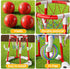 NIPLOOOW 2-in-1 4 Swimming 3-12 Pool Basketball Hoop, Floating Pool Toys Ring Game with Balls and Pump, Outdoor Pool