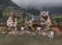 Fantasy Battle Systems Figure Wargames Terrain, 163 Piece Village Ruins for 28mm Miniature Wargaming