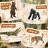 9 3-5 Zippytots PCS Zoo Animal Toys for Kids Realistic Plastic Wild Animal Figurine Toys Educational Learning Toy