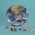 Chronicle Books 100 Piece Puzzle - Earth