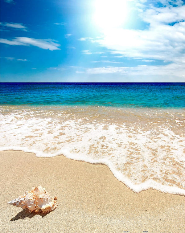 Pintoo Jigsaw Puzzles - 500 Piece for Adults, Seashell on The Beach Beautiful Plastic Puzzle for Home Decor