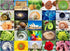 BenBen 1000 Piece Puzzle for Adults, 25 Fibonacci Spirals in Nature, Jigsaw