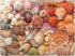Galison Vibrant Seashells – Christine Chitnis 1000 Piece Puzzle Featuring Chromatic Seashell Arrangement On Sand