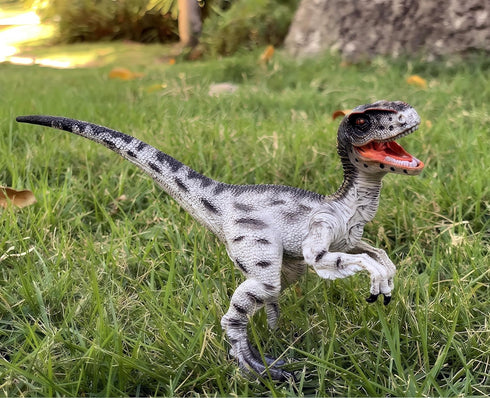 Gemini&Genius Velociraptor Dinosaur Toy for Kids, Realistic Raptor Action Figure with Movable Jaw and Hands