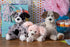 13 Inches Mary Meyer Scruffy Puppy Plush Toy
