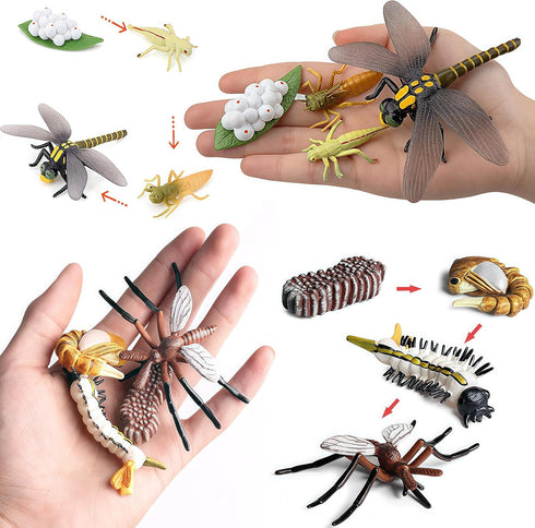Gemini & Genius Life Cycle of Mosquito and Dragonfly Figurines, Insect Growth Diary Action Figures, Learning Gifts