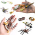 Gemini & Genius Life Cycle of Mosquito and Dragonfly Figurines, Insect Growth Diary Action Figures, Learning Gifts