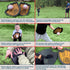 Set Toss and Catch Ball Game - Easy to Use Sticky Balls & Beginner Baseball Training Glove - Premium Toy Paddle Fits