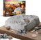 Discovery #MINDBLOWN Colossal Fossil Dig Set, 15-Piece Archeology Excavation Kit, Uncover Real Shark Teeth