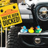 Pack 50 Kangaroo Mini Rubber Ducks Bulk of Floating Baby Bath Toys for Kids - Classroom Rewards - Pool Party & Birthday
