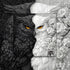 PICKFORU 1000 Yin Yang Owl Puzzle for Adults PiecesBlack and White Puzzles Owl Flowers, Impossible Difficult Hard Bird