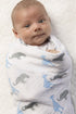 SwaddleDesigns Marquisette Receiving Swaddle Blanket, Blue Safari Fun, Soft Cotton Muslin for Babies