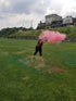 Gender Reveal Baseball for Baby Showers - 100% All Natural Holi Powder (Pink)