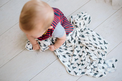 Copper Pearl Premium Knit Baby Swaddle Blanket - Dinos Wild