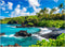 Jeacirio 500 Piece Puzzles for Adults, Beach Jigsaw Puzzle 500 Pieces, Seaside Puzzles