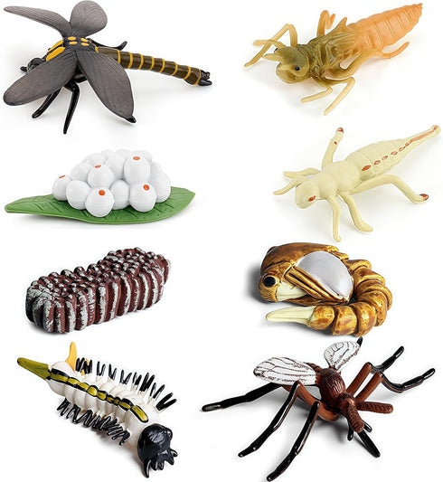 Gemini & Genius Life Cycle of Mosquito and Dragonfly Figurines, Insect Growth Diary Action Figures, Learning Gifts