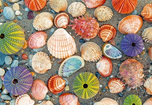 Ravensburger Puzzle Moment: by The Seashore 300 Piece Jigsaw Puzzle for Adults