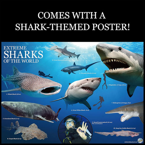 WILD ENVIRONMENTAL SCIENCE Extreme Sharks of the World Craft Kit - Study Models and Dioramas for Ages 6+