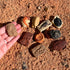 Ammonite, 3+ Safari Ltd. Ancient Fossils TOOB - Figurines: Dino Footprint, Giant Crab, Raptor Claw, T-Rex Tooth, Frog