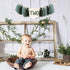 WAHAWU 2nd Greenery Birthday High Chair Banner - Nature Highchair Banner, Two Wild Party Banner, Tassel Bunting