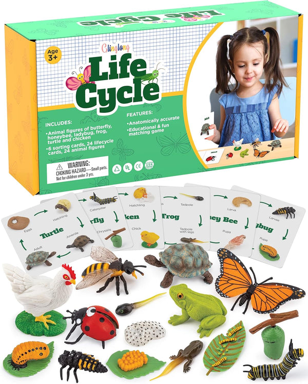 Life Cycle Animal Kit - Montessori Science Toy with 24-Piece Matching Game,